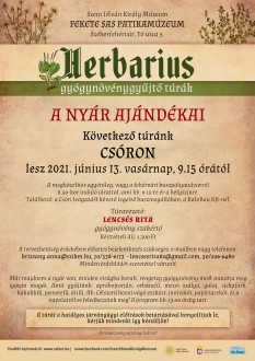 A nyár ajándékai - Csórra indul a vasárnapi gyógynövénytúra